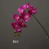 DK rosa
