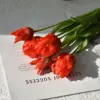 Red2