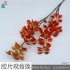 Film-colored Guanyin Lotus YWLZ Orange-red