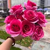 9 teste amante mei-rose rosso