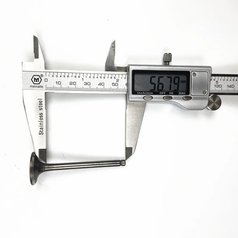 33f7_.jpg