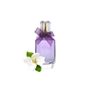 Notas Florales Amaderadas