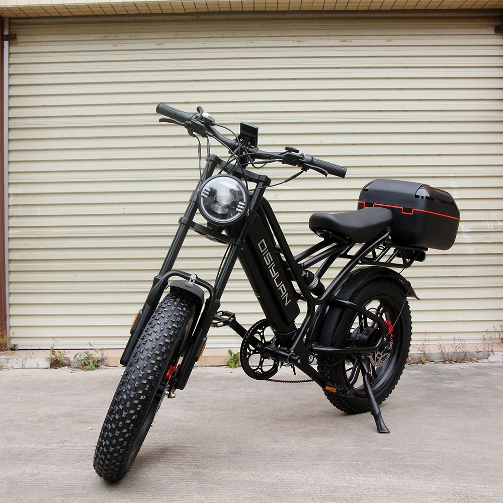 20 Inch Cargo E-bike Mtb Electric Bike Fat Tire Electric Bicycle