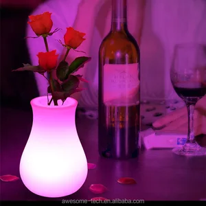 Modern 16-Color LED Small Vase Night Light Battery Remote Controlled for Bedroom Middle Table Colorful Mood Room Decor