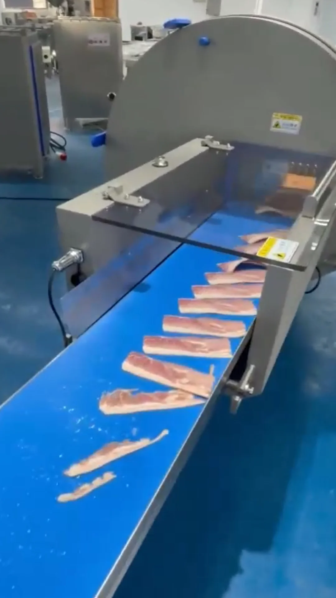 Electric Automatic Heavy Duty Big Meat Dice Frozen Fish Saw Meat Bone