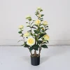Giallo 75 cm