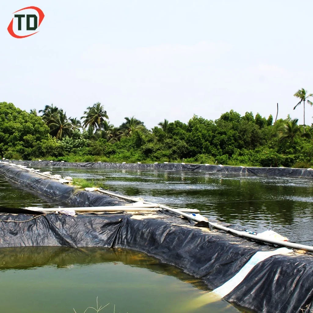 Spirulina Farming Ponds HDPE Geomembrane for Dam Liner 1mm 1.5mm 2mm PE Sheet for Fish Farms Geomembrana Pond Liner 45mil