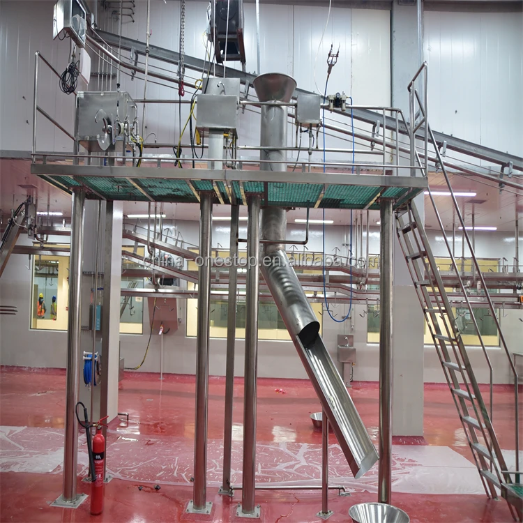 Turnkey Slaughterhouse Equipment Cattle Beef Slaughtering Equipment
