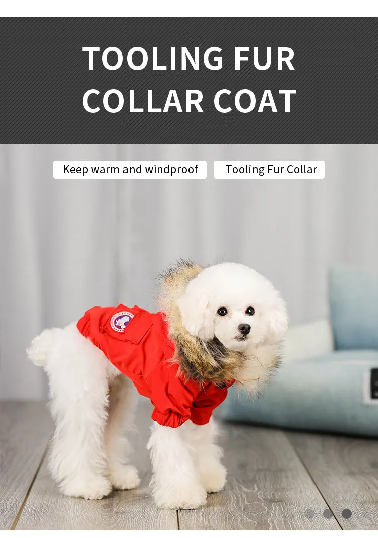 Easy Walk Luxury Fashion Apparel Pet Clothes Vendors Coat Dog Jackets