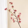 Frutto di edera (senza foglie) [rosso grande]
