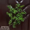 Hoja de arce