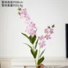Golden Jasmine Light Pink