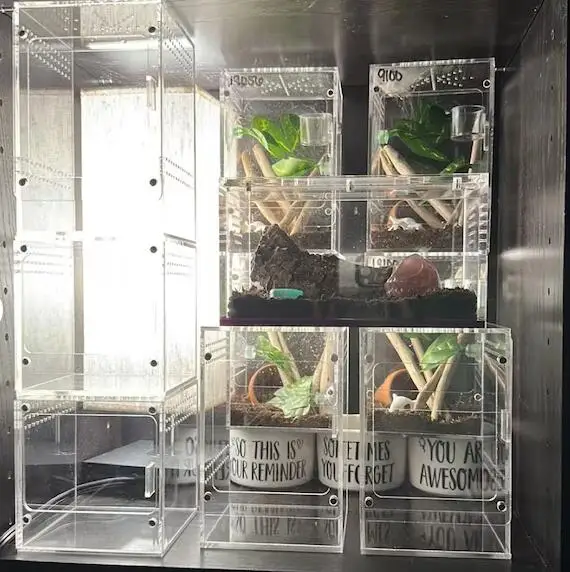 Yageli Custom Acrylic Tarantulas Enclosures Reptile Cribs Breeding Box