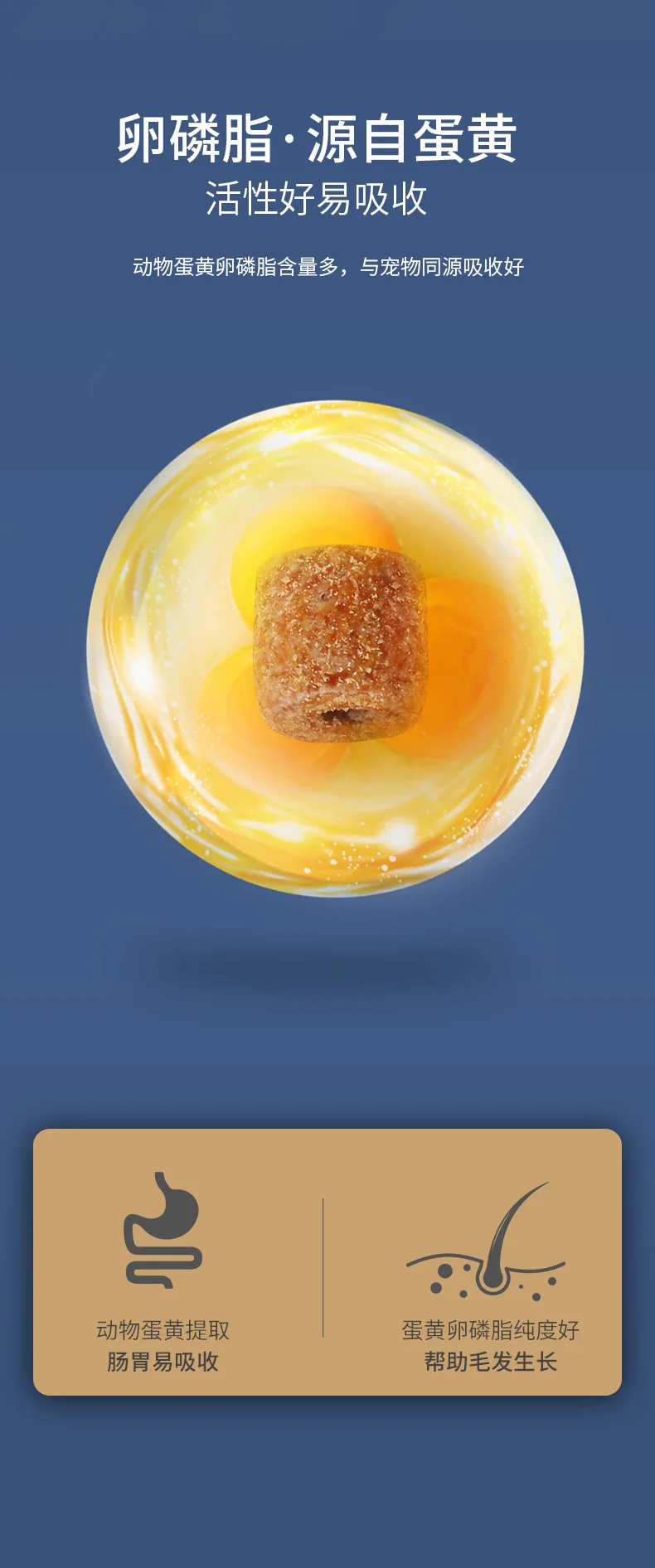 Skin & Coat Nutrition Chew Bite Treats Supplements Multivitamin Tablets