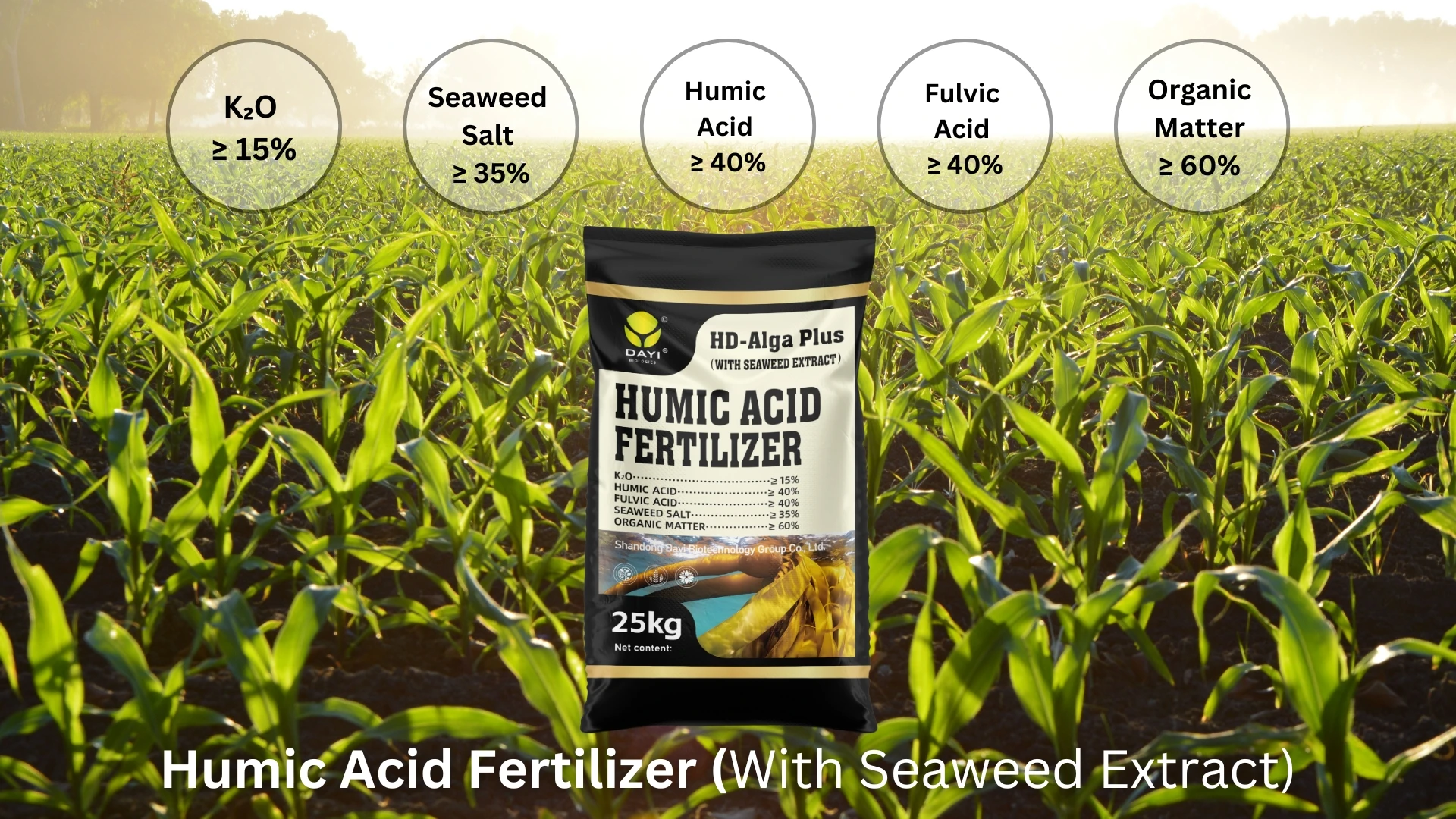 Humic Acid Algal Fertilizer Enhances Soil Fertility Promotes Crop ...