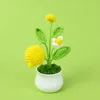 lemon potted plant