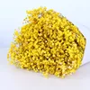 Jaune vif