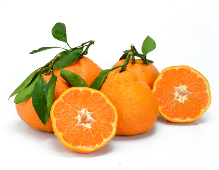 orange (29)