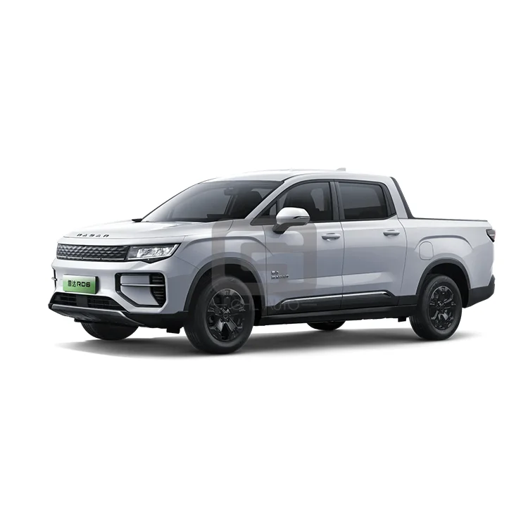 new energy vehicle