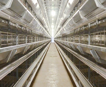 Poultry Farming Equipment Manufacturer 4 Tiers H Type Parent Chicken Battery Breeder Cage 0