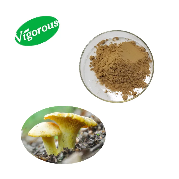 30polysaccharides Chanterelle Cibarius Mushroom Extract Powder Buy Chanterelle Mushroom