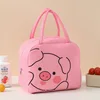 colorful Pink Pig