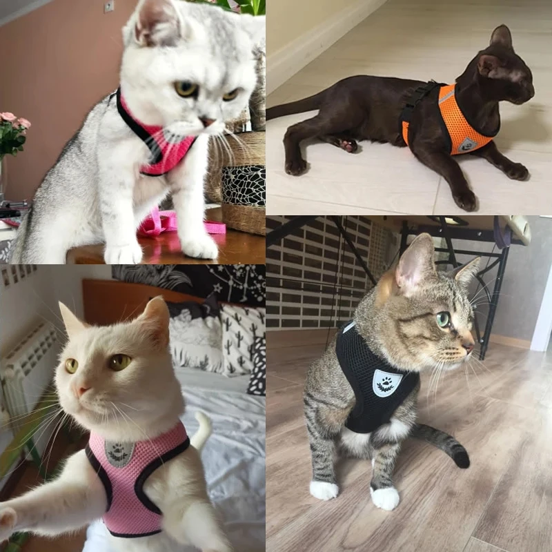 Cat Dog Harness Adjustable Vest Walking Lead Leash For Puppy Designer ...