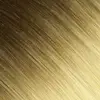 #R3-60-Twilight Gold
