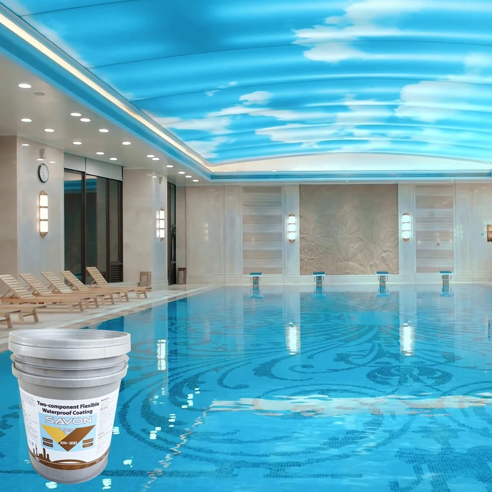 XN-300 swimming pool.jpg