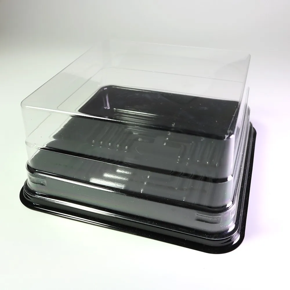 2pcs 8inch Transparent Birthday Cake Box Plastic Cake Container Box |  Fruugo IE