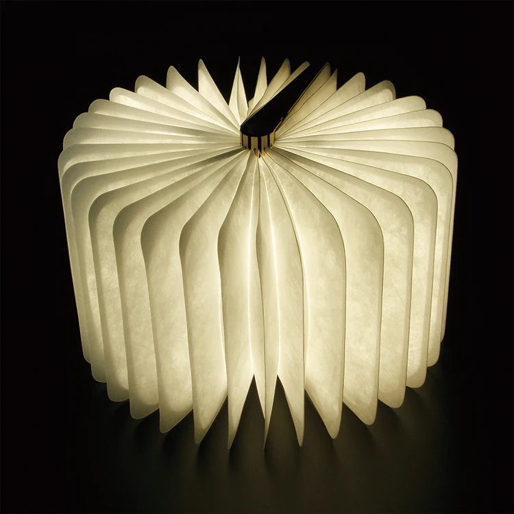 mini book light.jpg