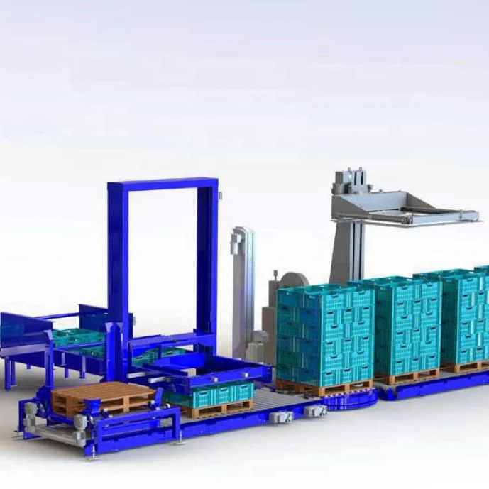 Whole Layer Carton Box Low Level Gantry Palletizer Stacking Pallet Wrapping Machine Line
