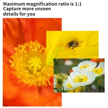 7artisans 60mm F2.8 Mark II APS-C Macro Lens for Sony E ZVE10 Nikon Z Z6II Fuji XF Canon EF-M M50 Canon RF R6 M4/3 T TL SL detail image