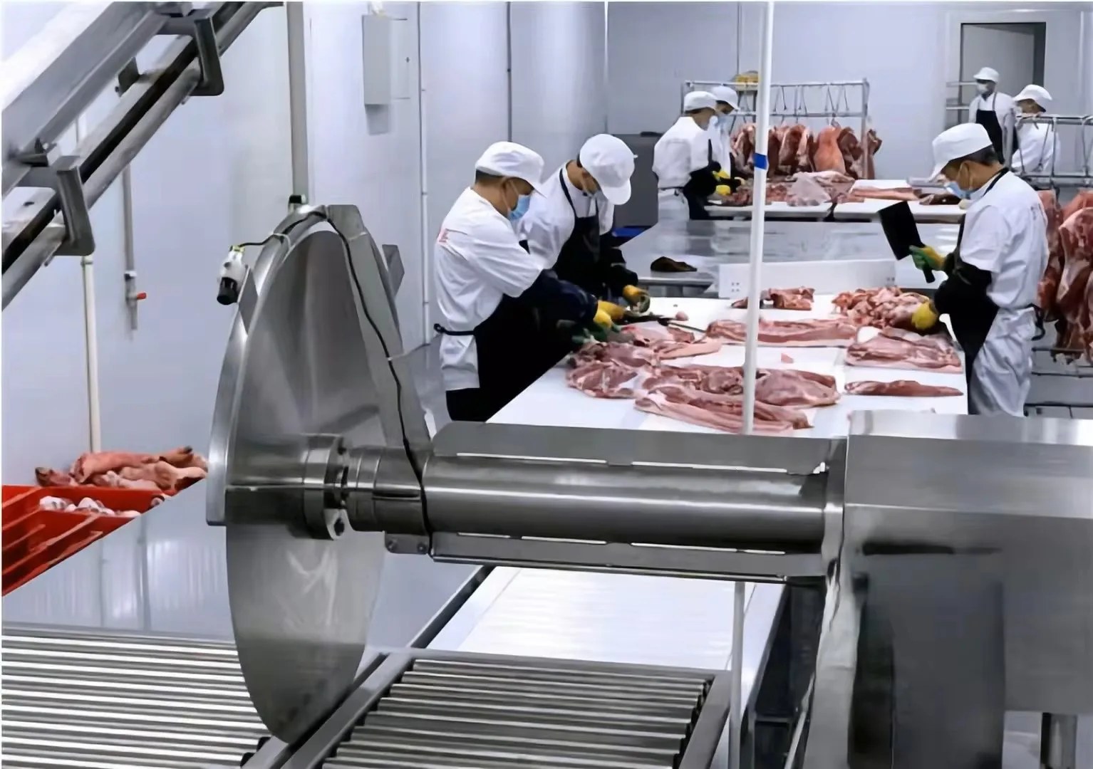 New technology production of automatic meat plate cutter bones for meat processing and slaughterhouses