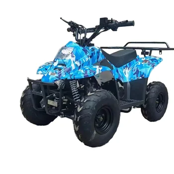 70CC/110CC Automatic Quad ATV Buggy ForTeens Racing Quad 125CC All-Terrain Beach Buggy for Sale