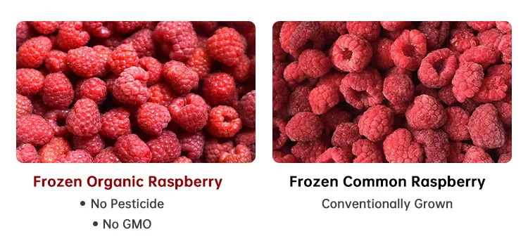 Sinocharm New Season Frozen Raspberry Whole Crumble Iqf Organic Raspberry From China