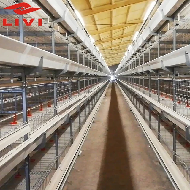 
Layer poultry farm chicken cage egg layer for sale chicken cage with automatic system 