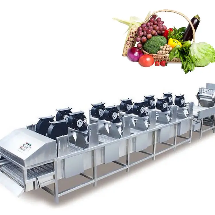 Micro Nano Bubble Washing Machine Adapter Avocado Fruit Grader and Washing Machine Fruit Washer Food Purifier Cleaning