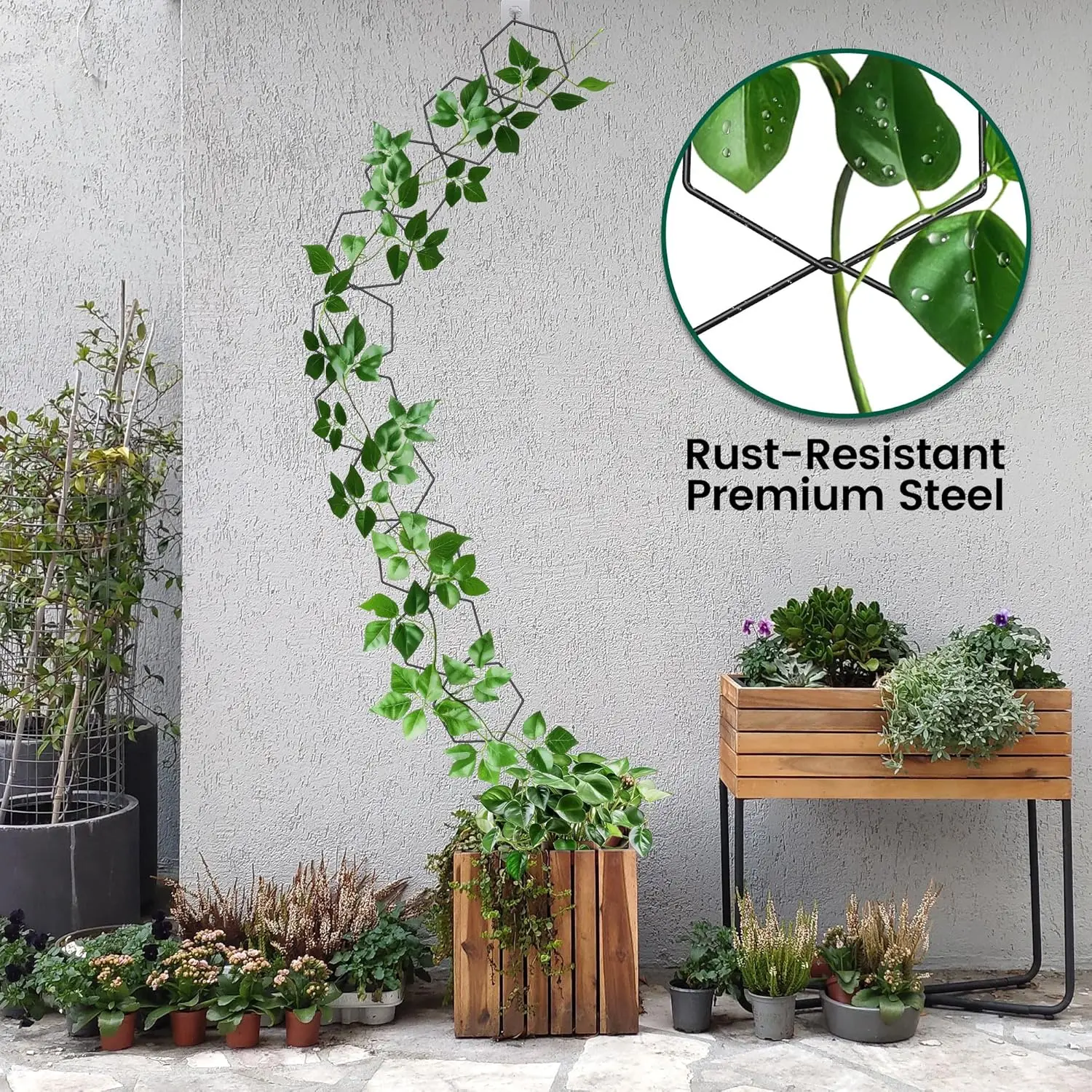 Lot De 60 Supports Muraux Pour Plantes Grimpantes – Décoration Verte Sans Perçage