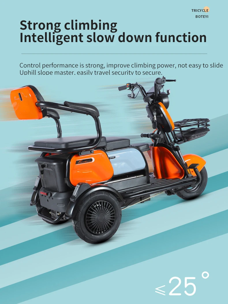 Paige Handicap Electric Tricycle Moto Liegerad Water Etrikes Electric