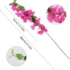 80cm Single - Rose Red
