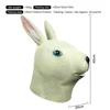 M. Lapin blanc