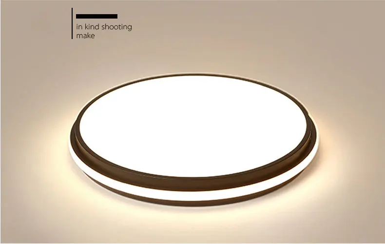 Modern minimalist led ceiling lamp, living room bedroom ceiling lamp dining room chandelier