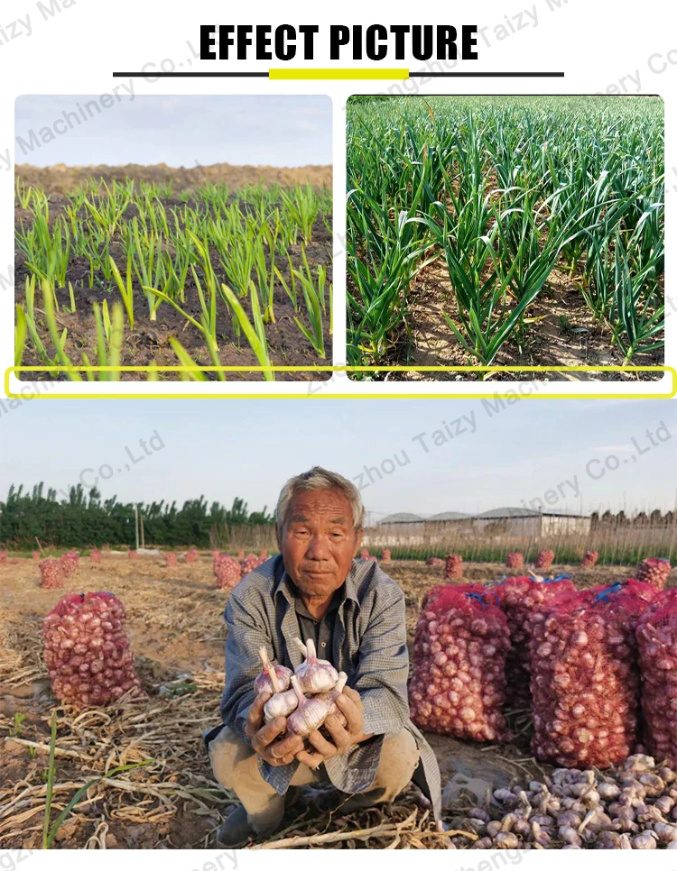 As Planting Garlic Seeder Machine Deb Garlic Planter With Gasoline Engine