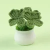 Pot trèfle à quatre feuilles vert foncé (pot blanc)