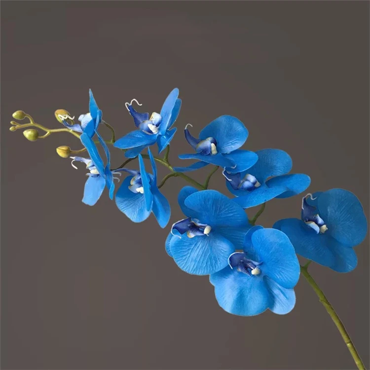 T0499-1 Grohndler Wei Gelb Blau Mokara Orchidee In Thailand Seide  Knstliche Orchidee Lange Stiele In Bulk Orchideen Zum Verkauf