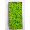 Stile verde-7