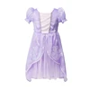 Sofia Princess Dress