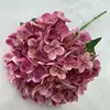 rosa3
