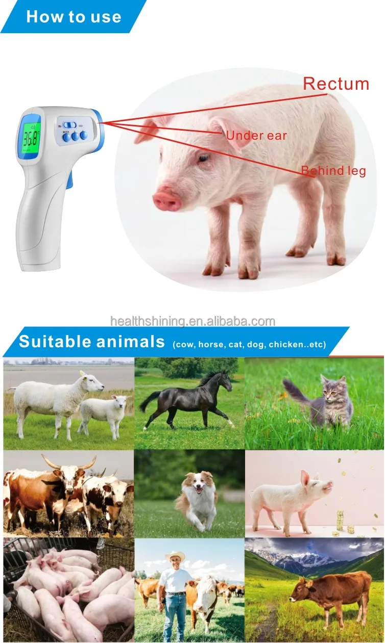 Oem C/f Degree Display Laser Thermometer Dog Rectal Veterinary Fast